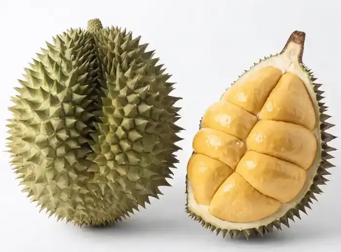 Fresh Thai durian for export