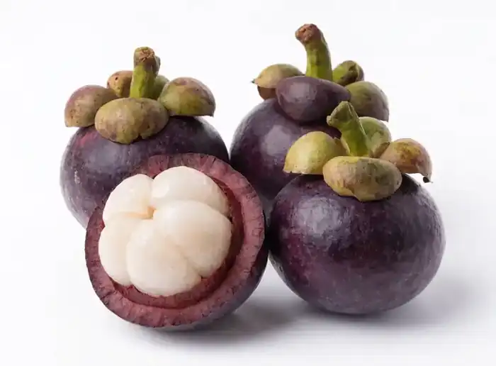 Fresh Thai mangosteen for export